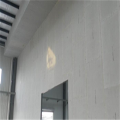 宝鸡宁波ALC板|EPS加气板隔墙与混凝土整浇联接的实验研讨